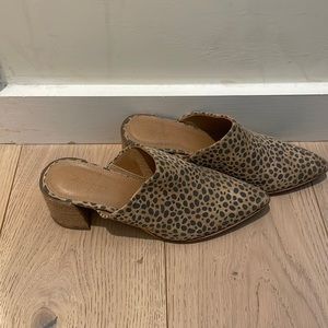 Leopard Pointed toe mules